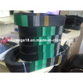 Ribbed Belt in Hot 12pk610